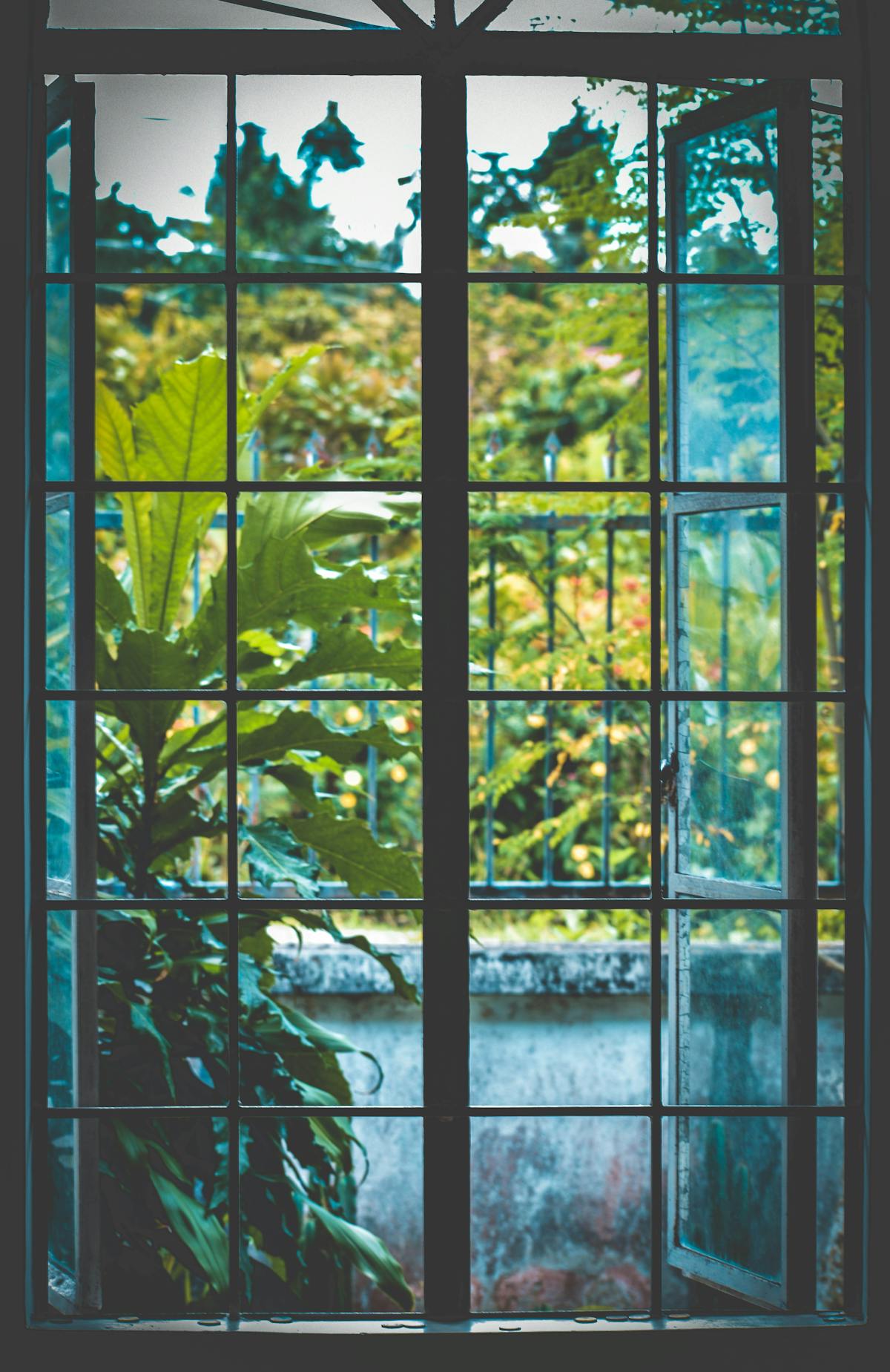After: Residential windows