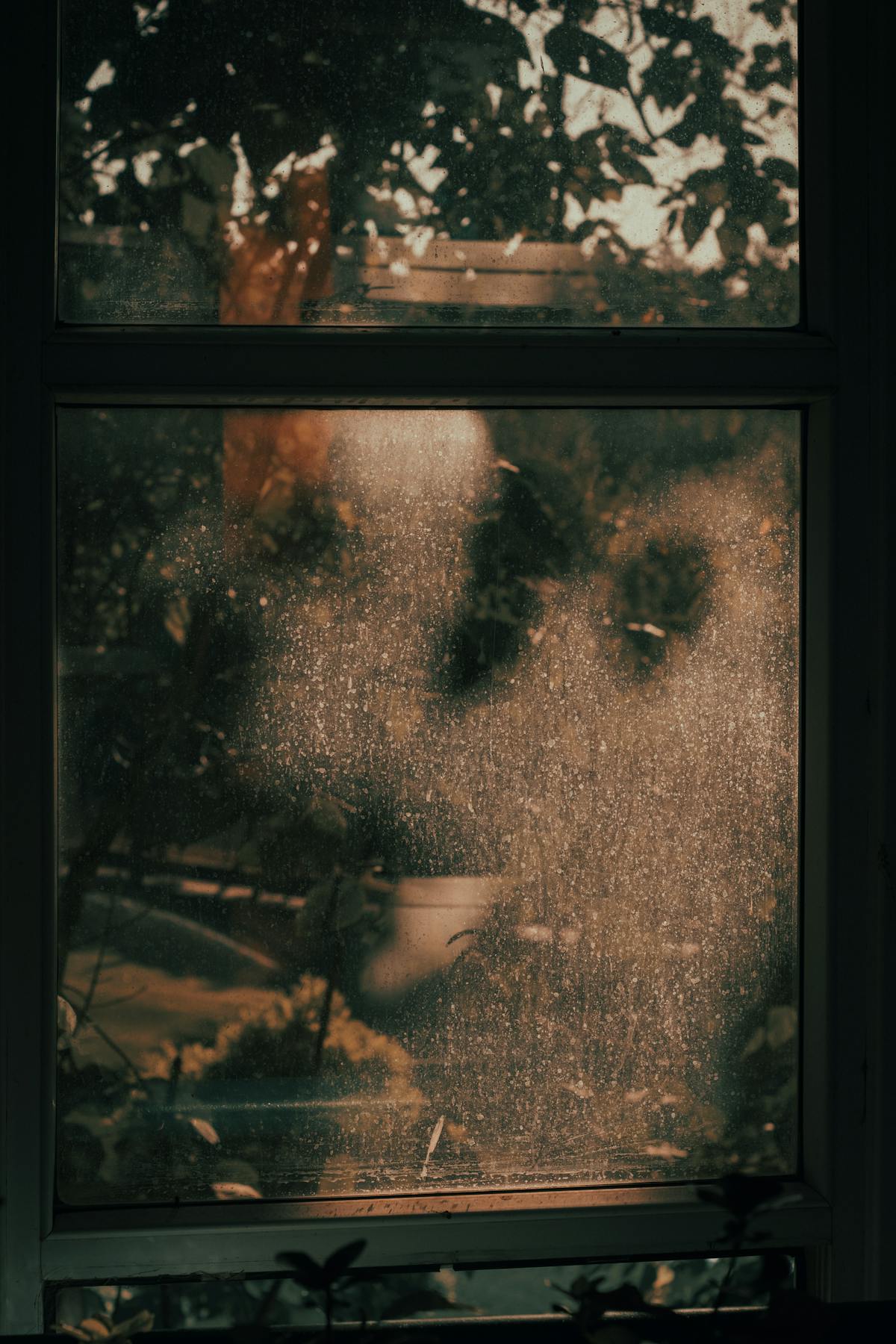 Before: Residential windows
